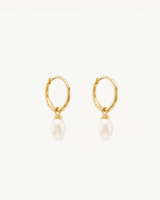 Load image into Gallery viewer, By Charlotte Live In Peace Pearl Hoop Earrings
